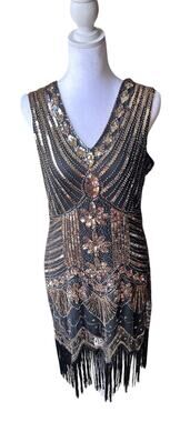 Flapper 20s Women's Large Fringe Beaded Great Gatsby Party dress Sequin Tassel